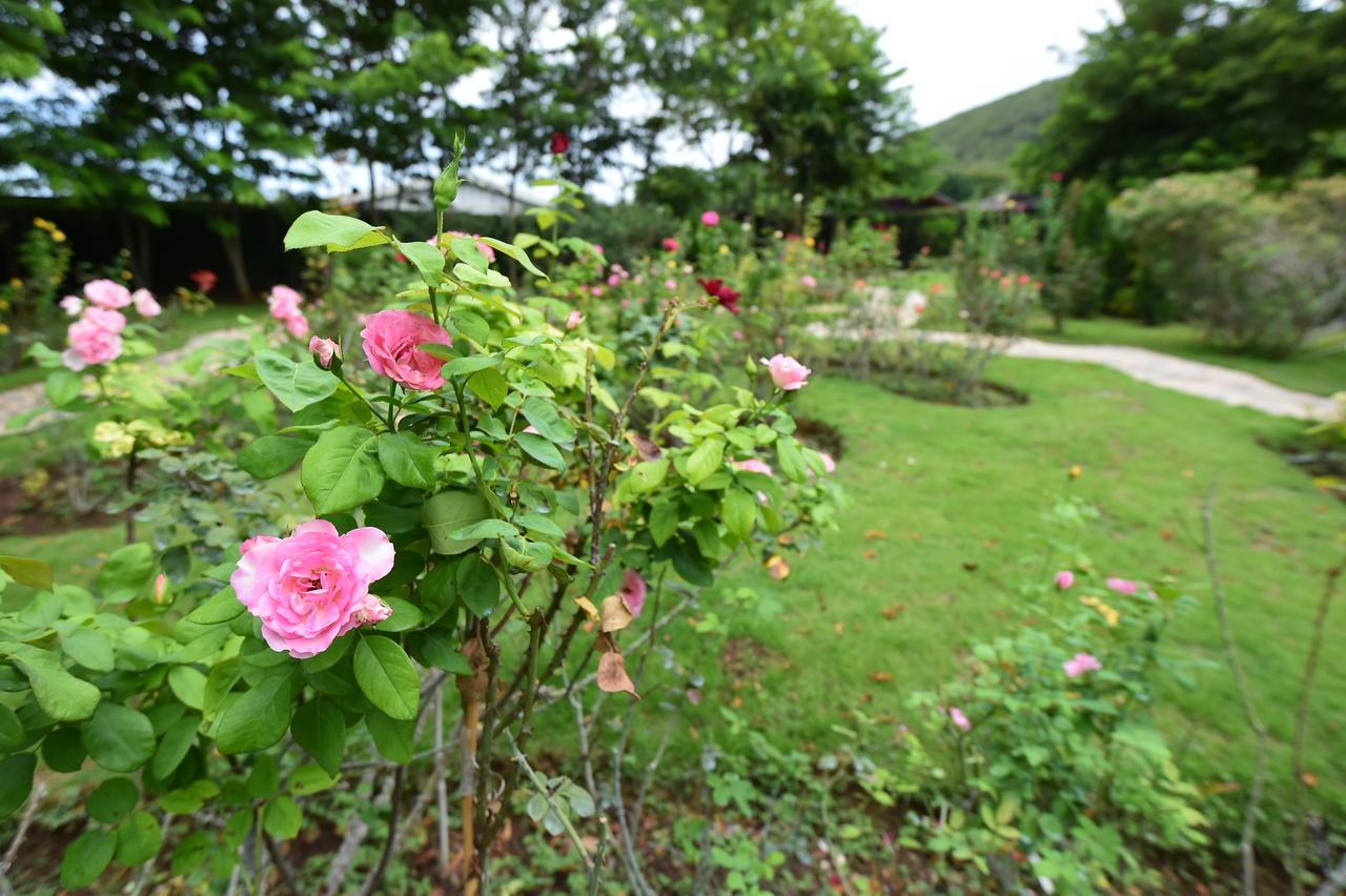 Rose Villa Hote Pak Chong Exteriér fotografie